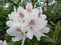 2009-05-14_07-46-02_0100