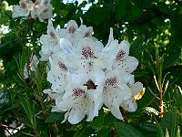 2009-05-18_08-21-48_0043