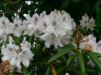 2011-05-27_09-22-27_0159