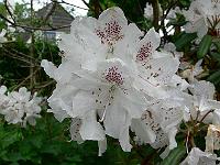 2011-05-27_09-22-58_0165