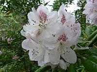 23-05-2006_09-12-08_67