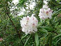 23-05-2006_11-19-02_81