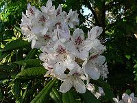 27-05-2006_20-13-25_161