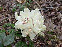 08-04-2007_09-29-33_04