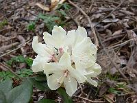 08-04-2007_09-29-37_05