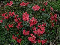 18-05-2006_17-06-23_53