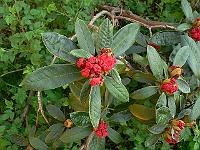 10-05-2006_09-08-35_83