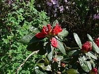 11-05-2006_11-45-55_184