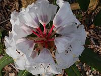 2015-04-10-15-06-28