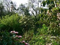 2009-04-30_07-07-23_0037