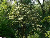 2009-04-30_07-07-37_0041