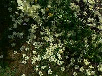 2011-05-13_11-21-55_0118