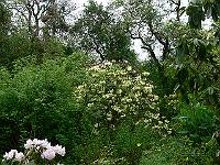 2009-05-07_07-49-39_0093