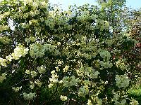 2011-05-06_07-48-41_0037