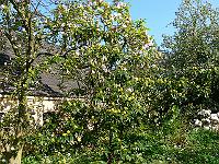 2011-05-06_07-49-18_0046