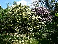 2011-05-13_11-21-07_0106