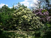 2011-05-13_11-21-21_0109