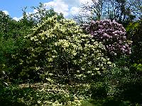 2011-05-13_11-21-29_0113