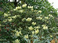 21-05-2007_10-42-36_18