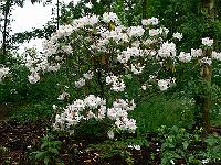 2009-06-19_10-14-09_0034
