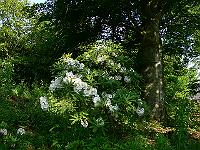 2010-06-24_08-26-35_0004