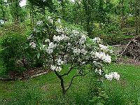 2010-06-26_12-47-28_0019