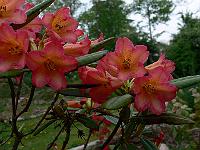 2011-05-11_07-38-27_0120