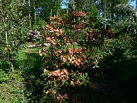 2010-06-04_07-51-12_0092