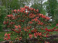 2011-05-11_07-37-59_0112