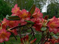 2011-05-11_07-38-58_0129