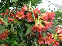 29-05-2006_17-00-56_53