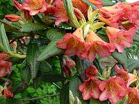 29-05-2006_17-01-14_58