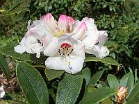 05-05-05kodak_154