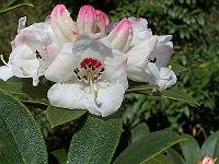 05-05-05kodak_155