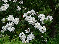 2009-06-08_08-33-38_0031