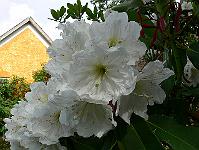 2009-06-08_08-34-37_0045