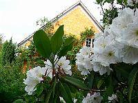 2009-06-08_08-34-58_0049