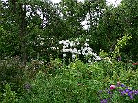 2009-06-11_09-04-56_0029