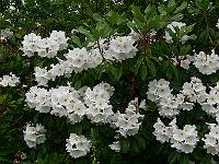 2009-06-11_09-06-18_0046