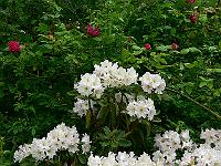 2009-06-11_09-07-20_0058