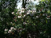 2009-06-15_11-45-42_0034