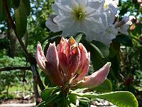 2009-06-15_11-46-04_0037