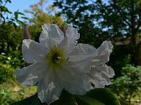 2009-06-15_11-46-42_0046
