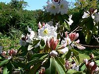 2009-06-15_11-47-37_0057