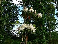 2009-06-16_08-27-30_0013