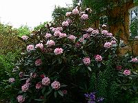 2008-05-23_08-57-26_0107
