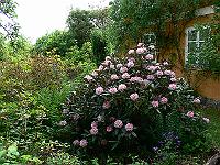 2008-05-23_08-57-26_0113