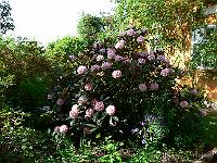 2008-05-23_08-57-26_0125