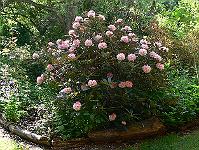 2008-05-23_08-57-26_0128
