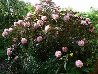 2008-05-29_07-12-06_0014
